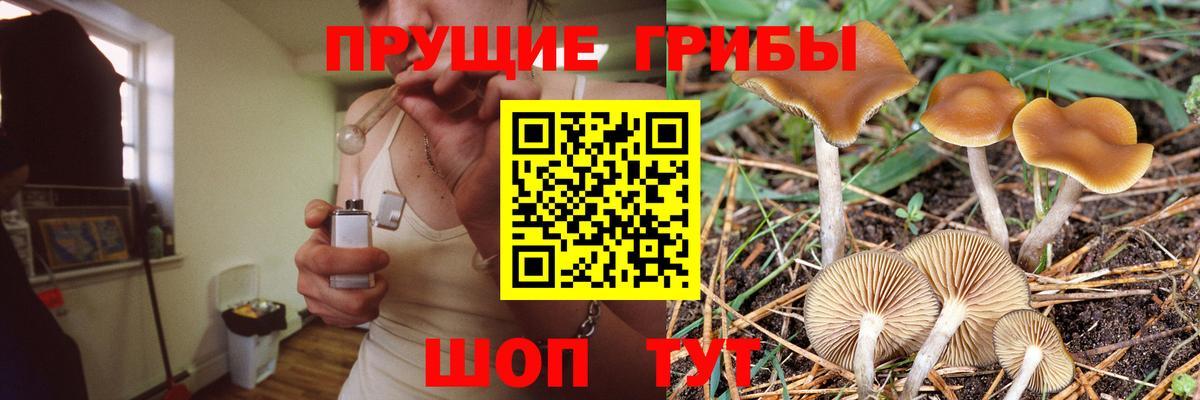 Галлюциногенные грибы мицелий Куйбышев